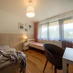 Czarny Jelen Pensionat