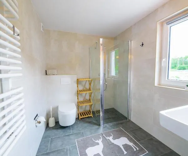 게스트하우스 Czarny Jelen 3*