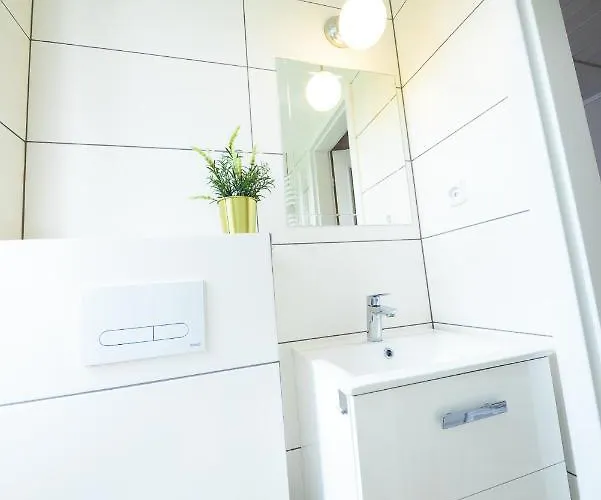 게스트하우스 Czarny Jelen