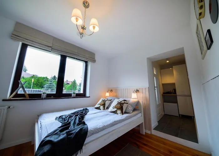 Czarny Jelen Gæstehus 3*