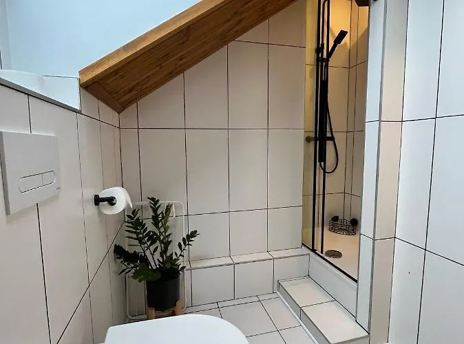 Czarny Jelen Gæstehus